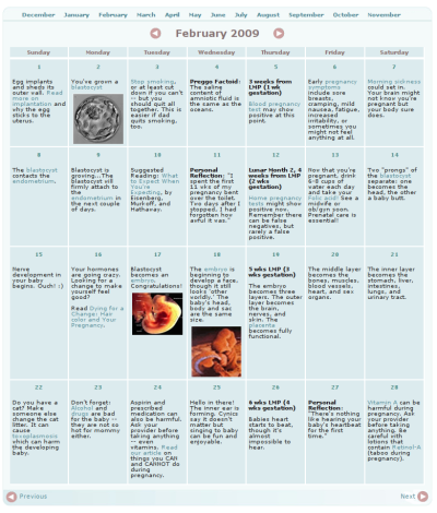 pregnacy calander