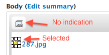 the wysiwyg when selecting a file using an alternative view mode