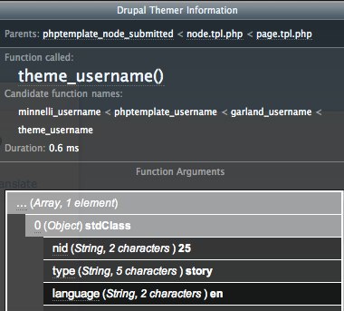 Screenshot of theme developer module