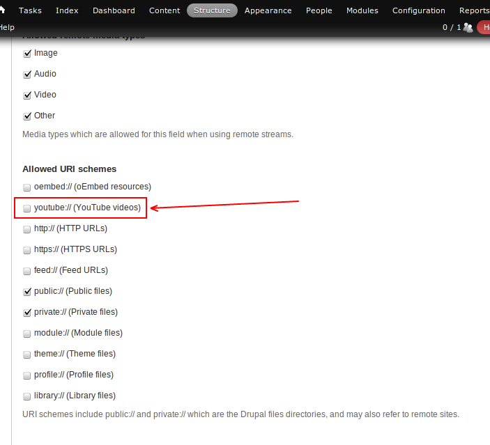 enable-youtube-file-field.png
