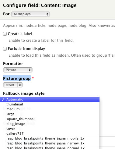 fallback style in picture
