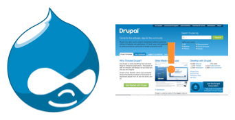 Druplicon next to Drupal.org screenshot