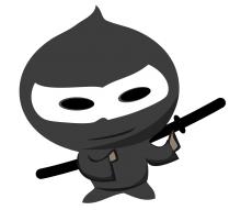 Ninjitsu Web Development Ninjitsu Web Development