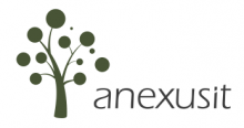 Anexus IT