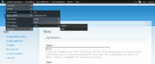 Drupal with Admin Menu