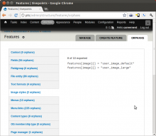 features-orphans2.png