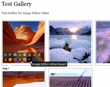 Image Editor Inline with Media Gallery