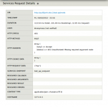 Services Log details screenshot