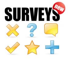 Surveys Documentation