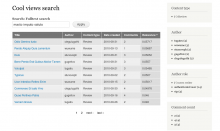 A search view created with the Search API.