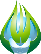 Arbor Web Development Arbor Web Development