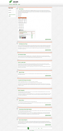 A screenshot of a demo site