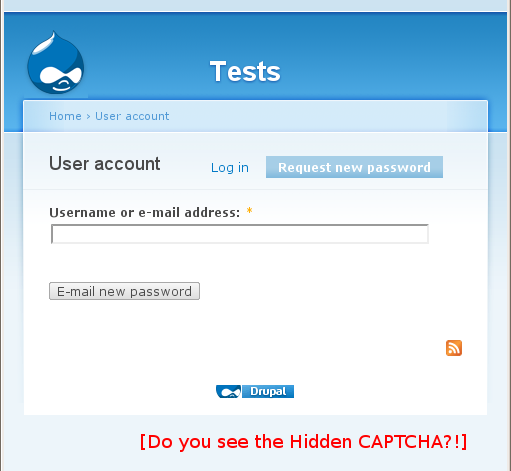 A sample form including a Hidden CAPTCHA!