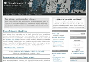 SEO Position Theme SEO Position Theme