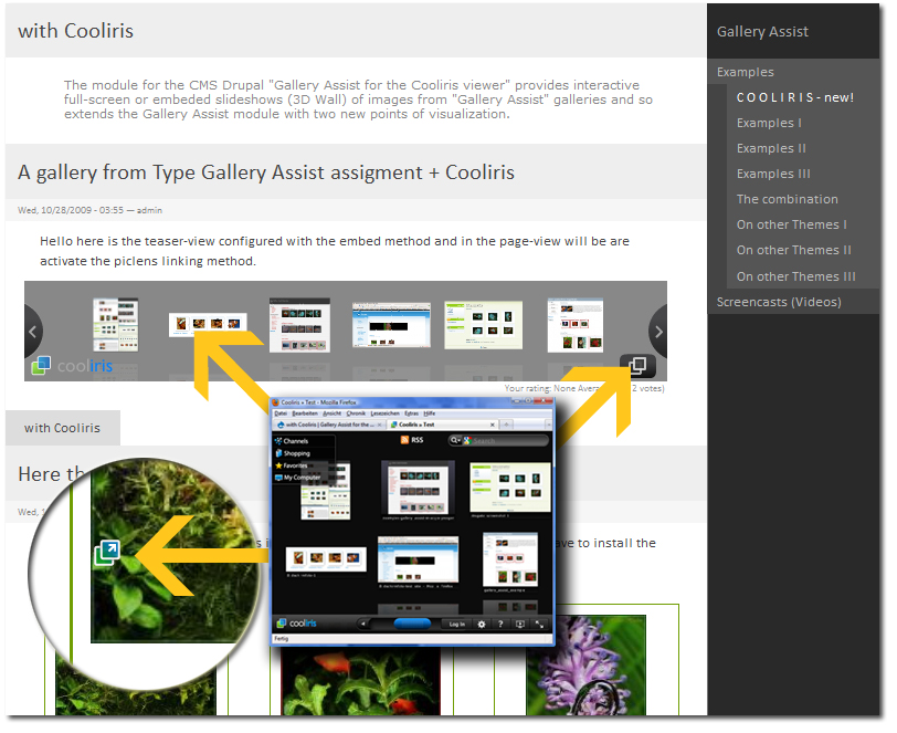 gallery viewer