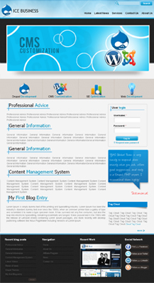 ice-business-drupal-theme-new_0