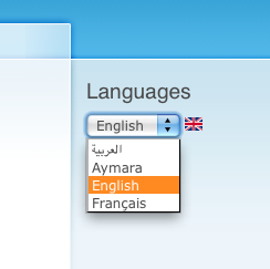 Language Switcher Dropdown with Language icons