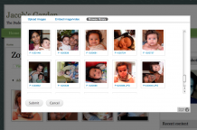 The Media browser in use by media_gallery module