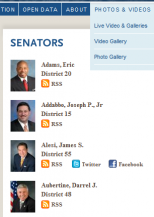 NYSS Senator View