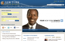 New York State Senate