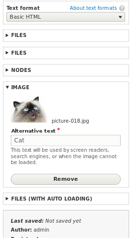 Mobile viewport