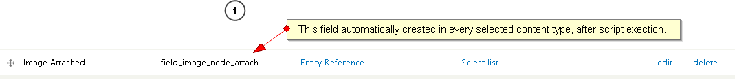 Image Attach Field