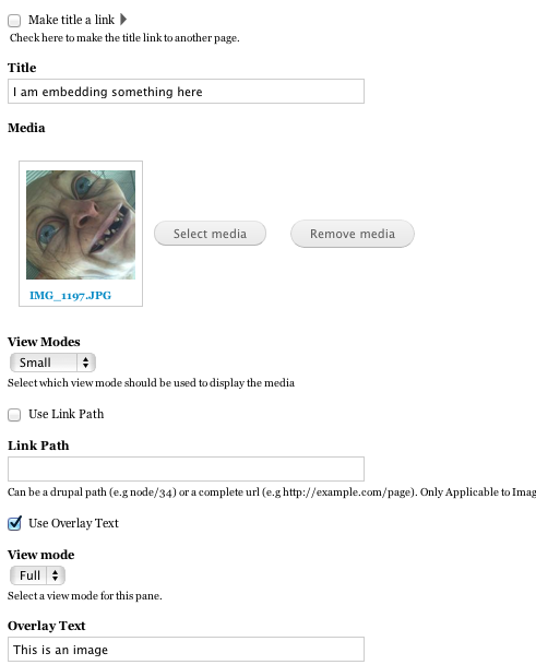 media_pane-view_mode_ui.png