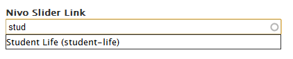 nivo slider autocomplete