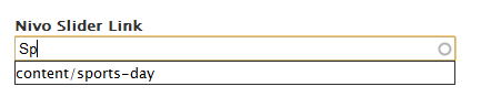 nivo slider autocomplete