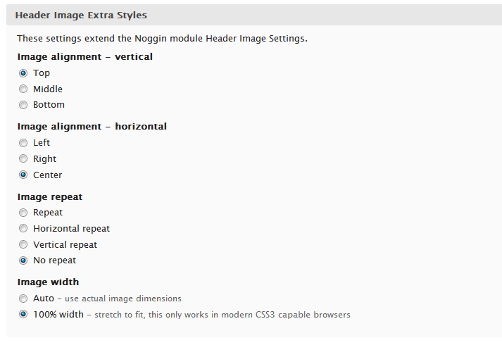 noggin-extracsssettings.png