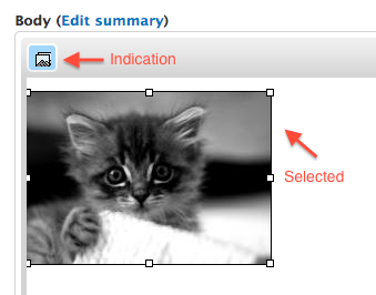 the wysiwyg when selecting a file