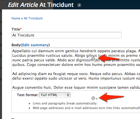 Screenshot of a D8 site with the overlay open. Two contextual gears are visible over the forms elements in the overlay.