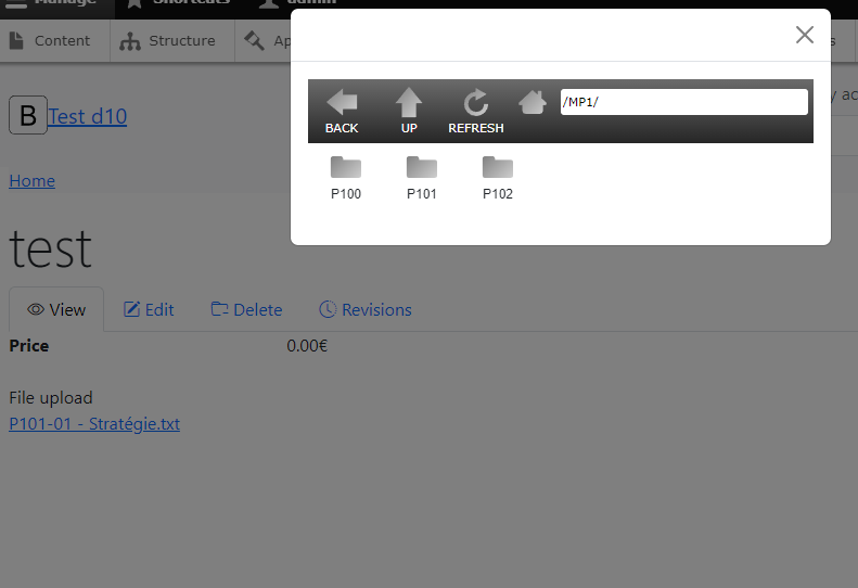 file browser