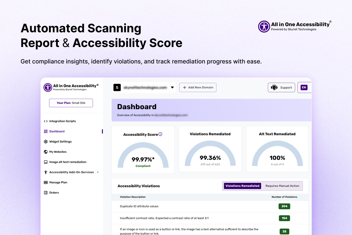 All in One Accessibility - Automated Scanning Report and Accessibility Score