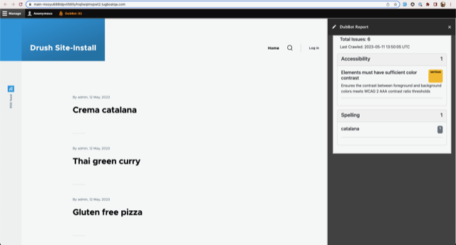 DubBot page view