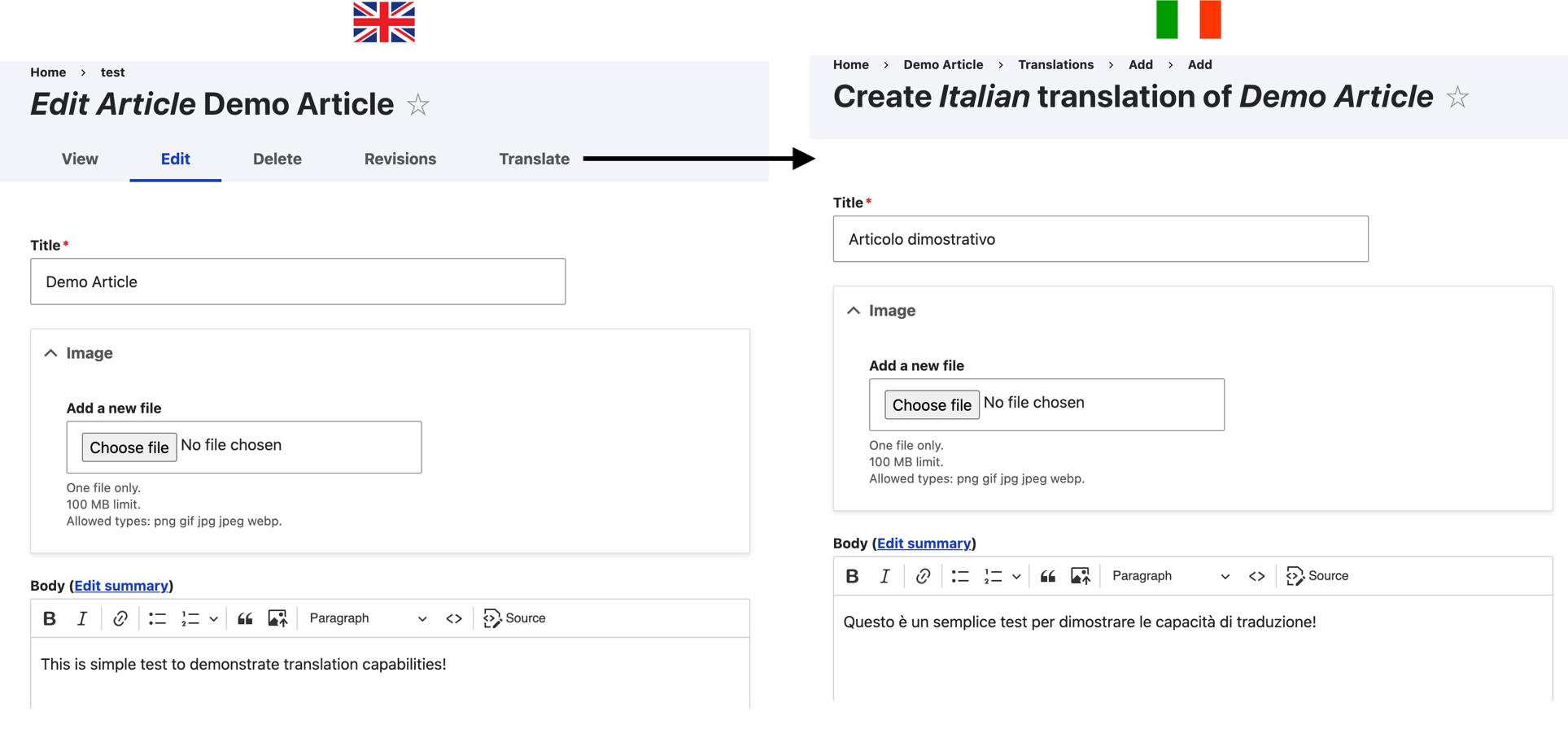 Translation demo