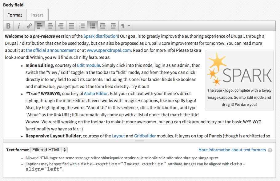 Screenshot of Spark distribution showing Aloha Editor on the site back-end form.