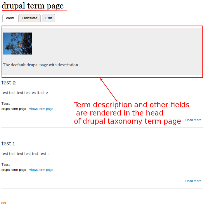 drupal feeds taxonomy terms