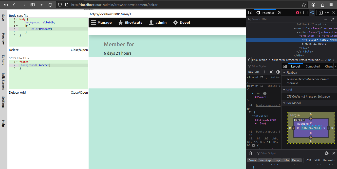 Browser development editor