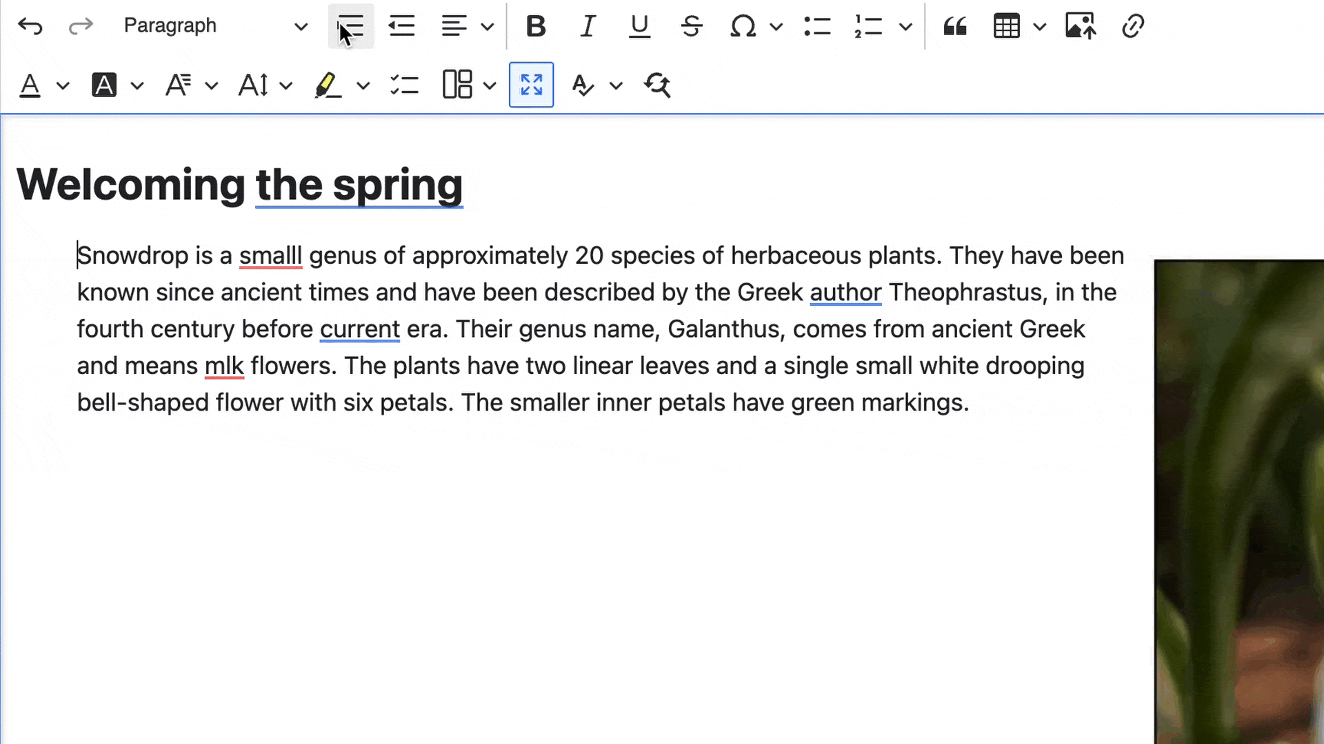 Free WProofreader plugin for CKEditor 5 in Drupal