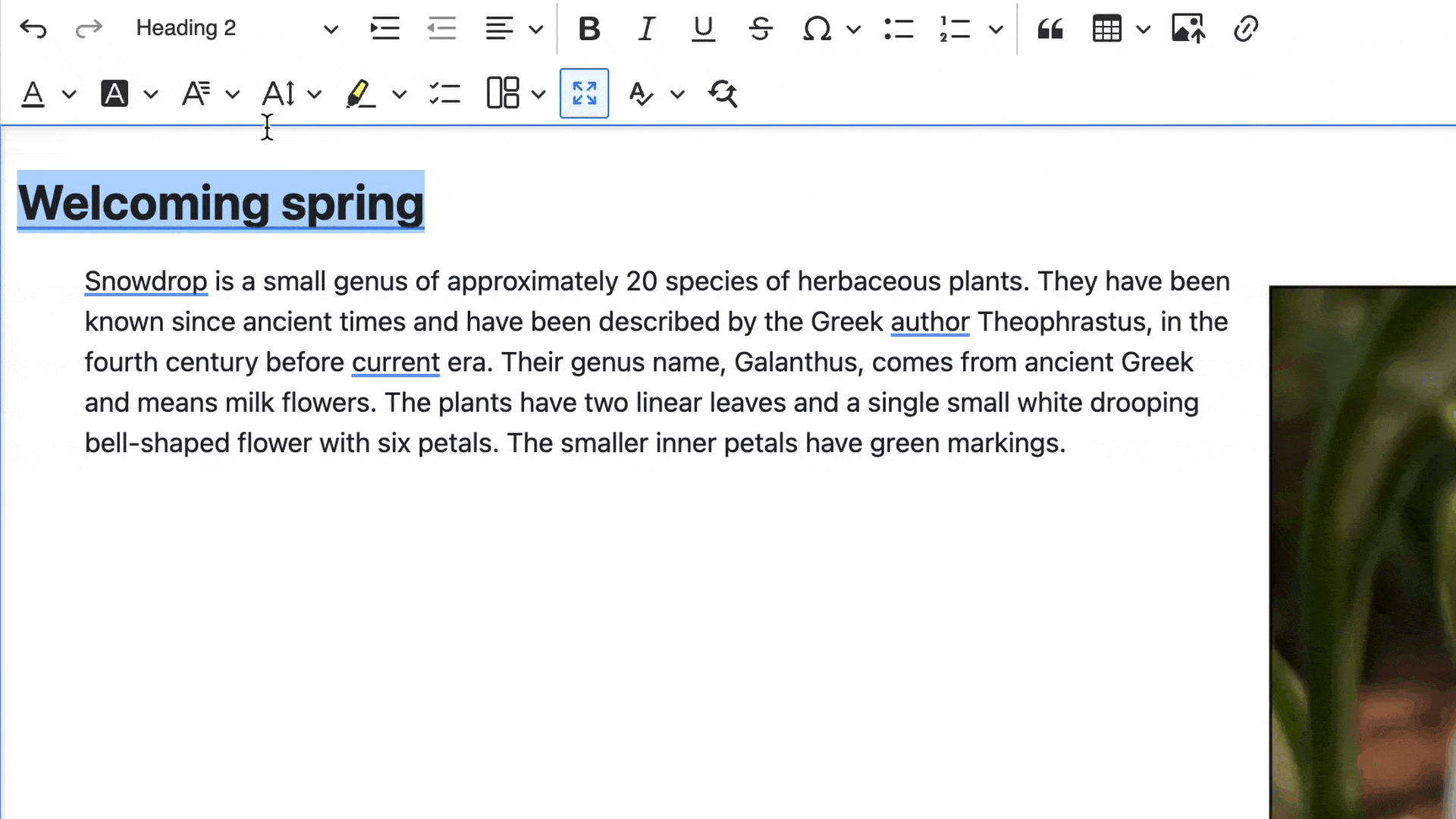 Fonts plugin for CKEditor 5 in Drupal