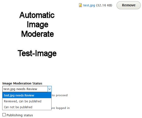 Review tool for Automatic Image Moderation