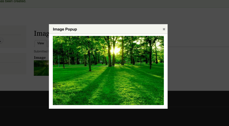 simple_image_popup