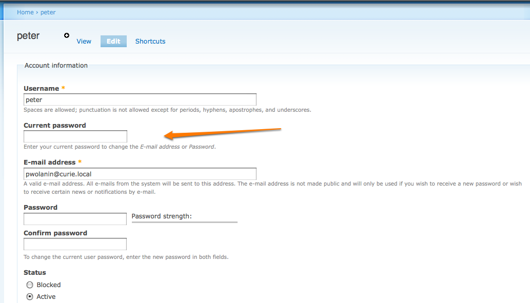 Add Current Password Field To Change Password Form 86299