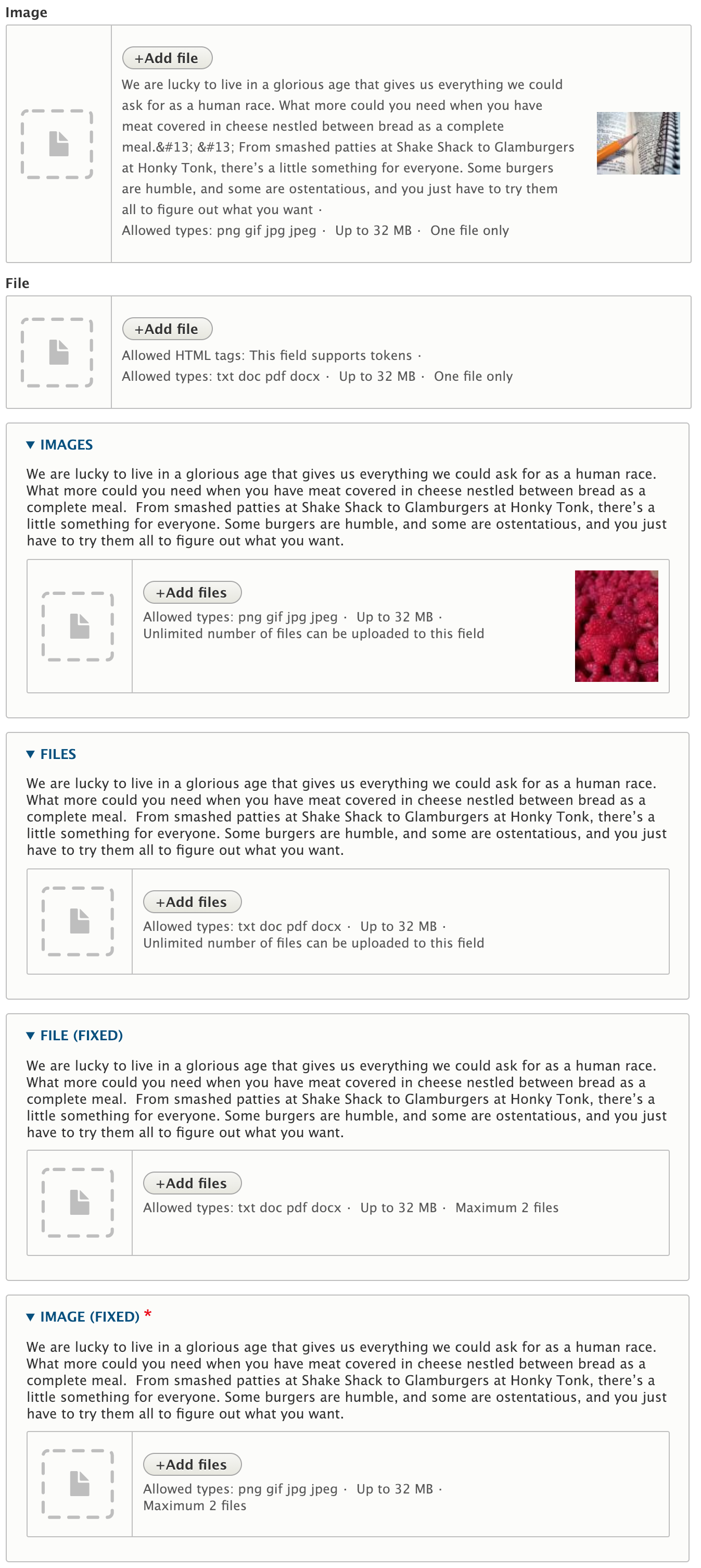 Empty file/image fields