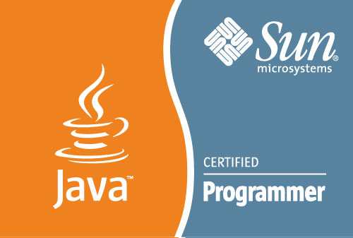 Sun Certified Java Programmer