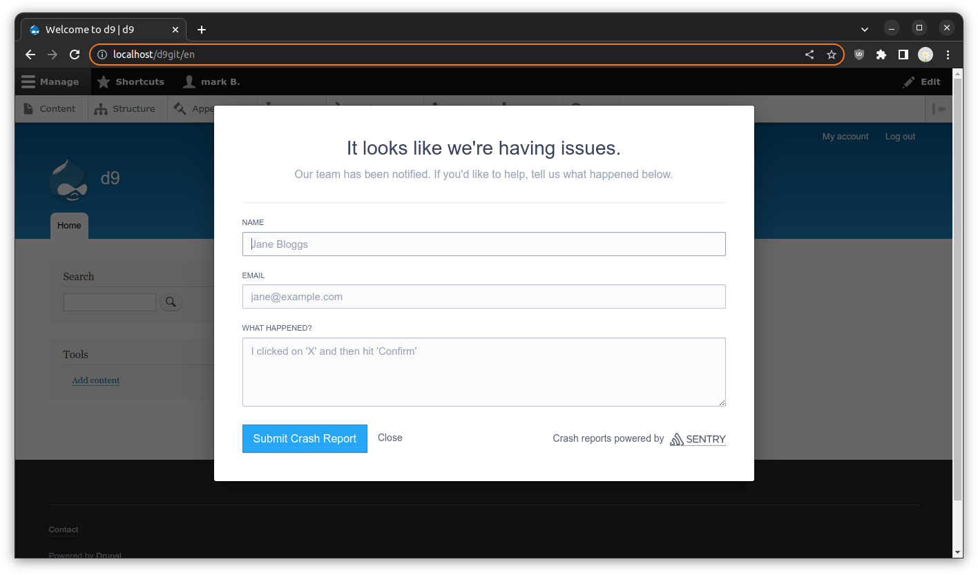 Sentry crash report dialog