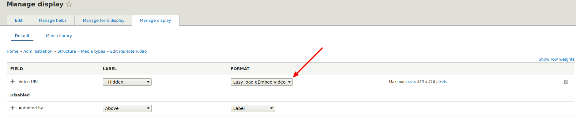 Image depicting a site builder setting the Lazy load oEmbed video formatter