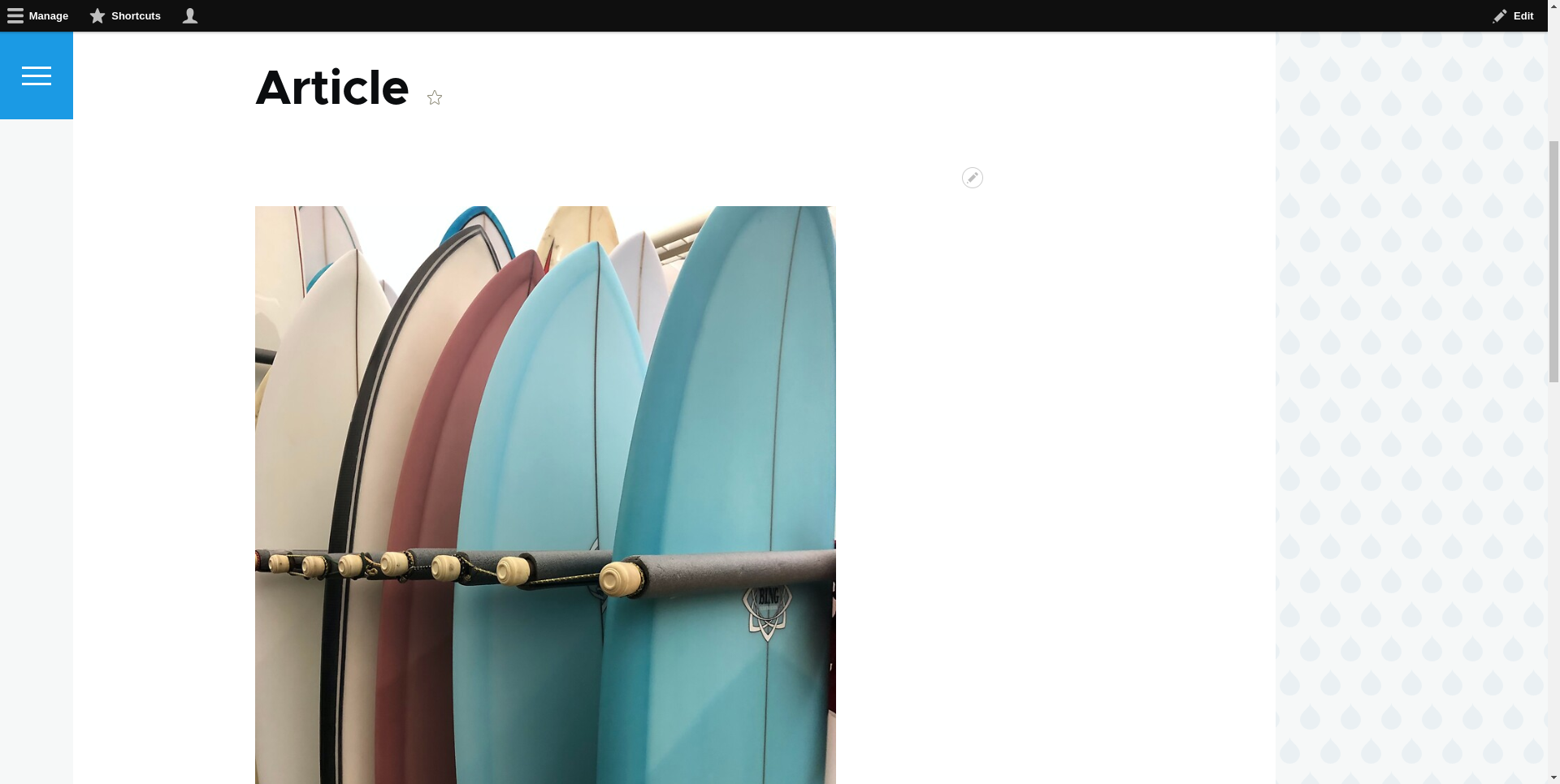 Keepeek picture in article