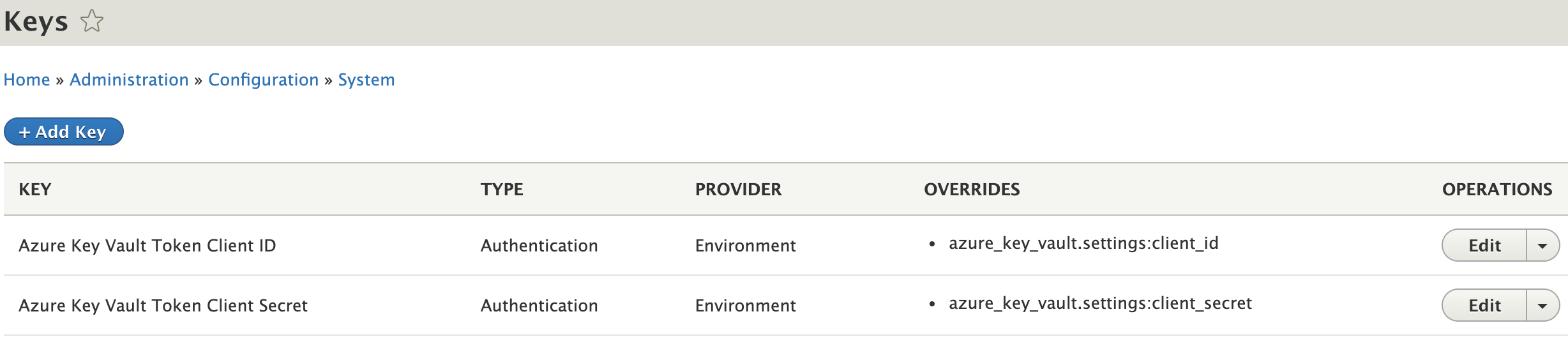 Token Secrets added as Environment variables
